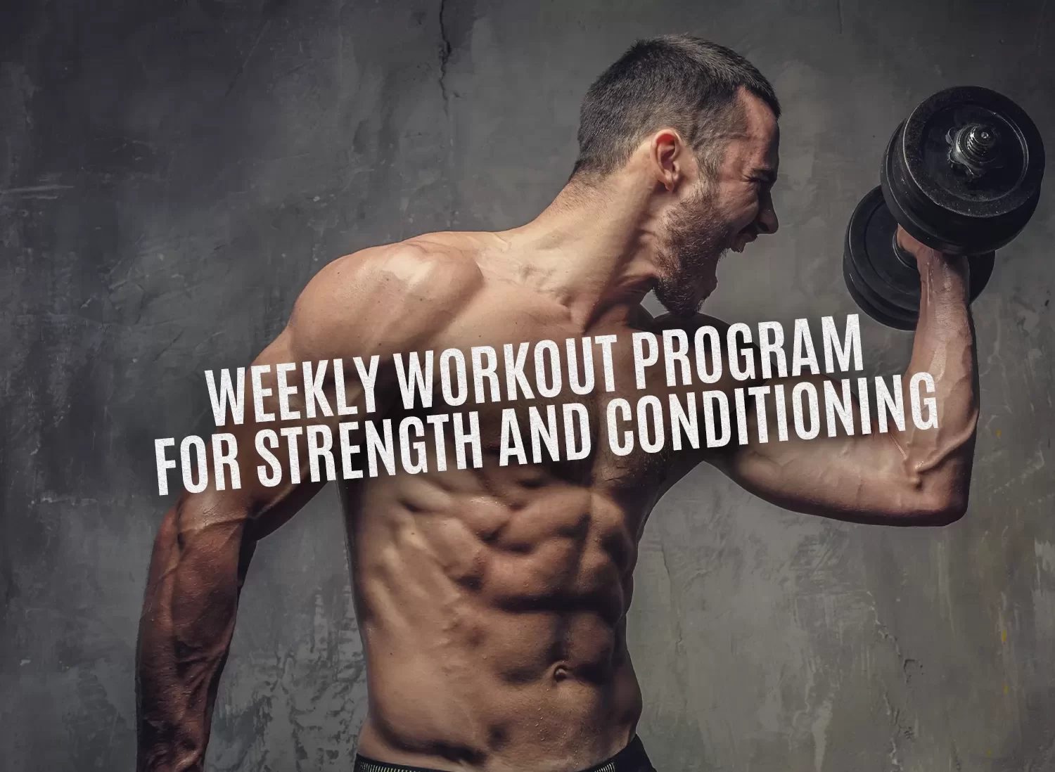 Weekly workout program