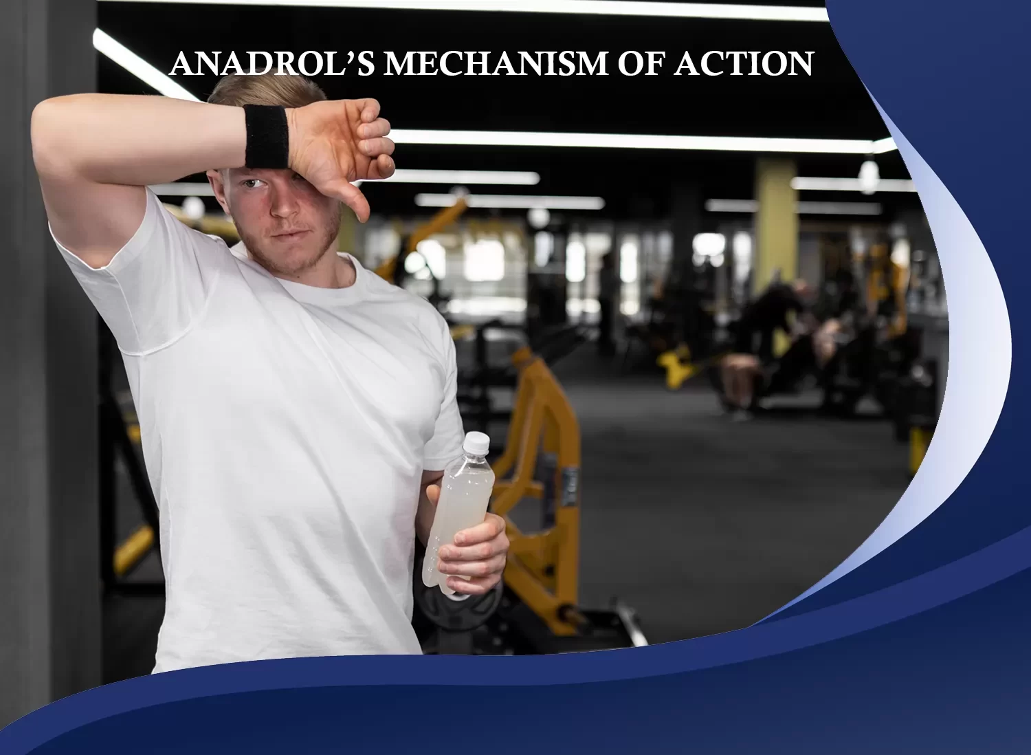 Anadrol’s Mechanism of Action