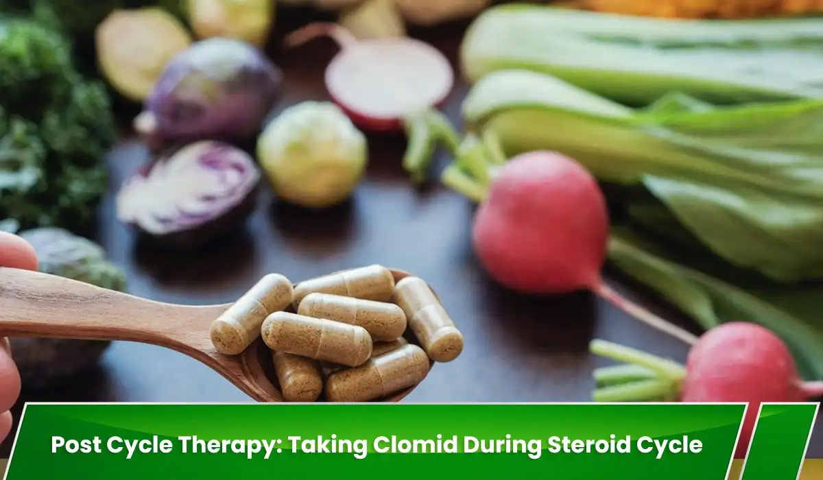 Post Cycle Therapy: Taking Clomid During Steroid Cycle